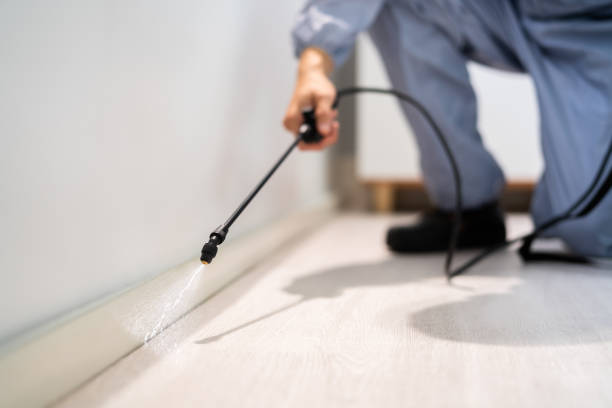 Licensed Pest Control service in Hillsboro, OH - Show Me Pest Control