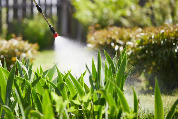 24/7 Emergency Wasp Removal experts in Hillsboro, OH