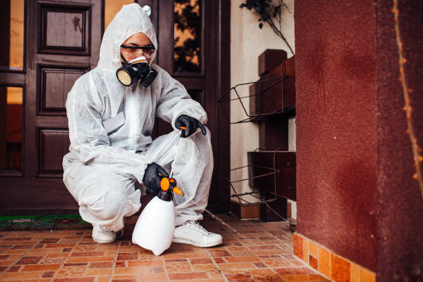 Reliable Wasp Removal contractor in Hillsboro, OH by Show Me Pest Control